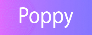 exhibitor